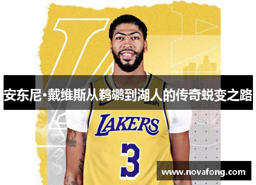 安东尼·戴维斯从鹈鹕到湖人的传奇蜕变之路